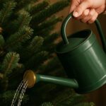 Verzorgtips voor kerstboom kopen in Den Bosch